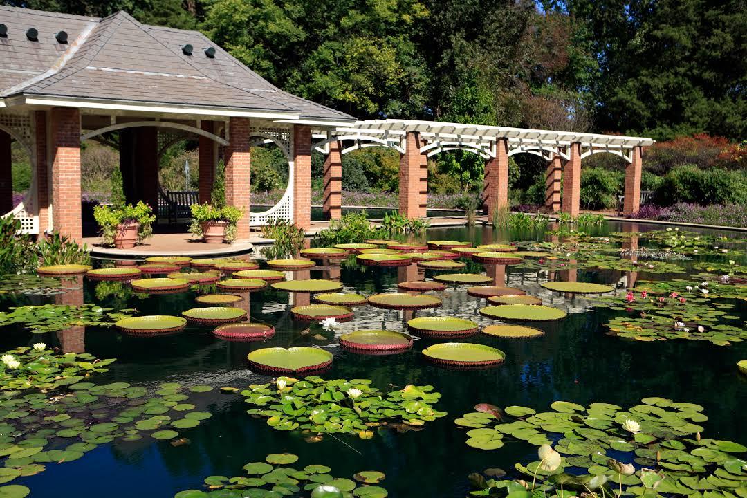 Huntsville Botanical Garden